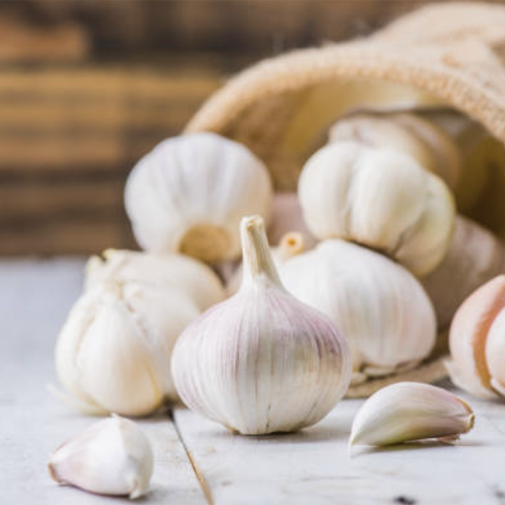 ニンニクともひろ ひろしの餃子にんにく たっぷり1箱16個入り | ひろしの餃子【直営店】